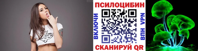 хочу   Хотьково  Галлюциногенные грибы Cubensis 